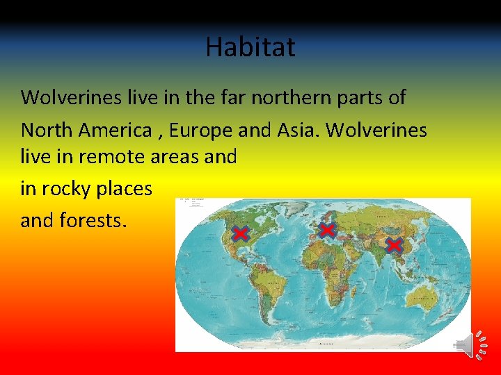 Habitat Wolverines live in the far northern parts of North America , Europe and