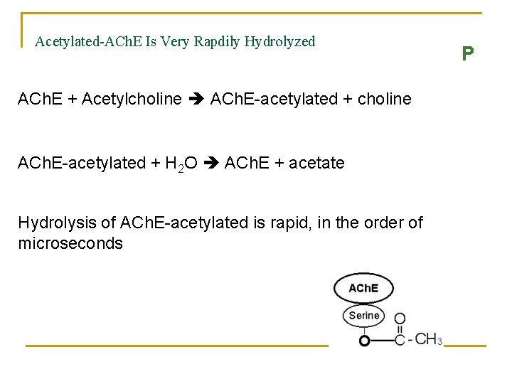 Acetylated-ACh. E Is Very Rapdily Hydrolyzed ACh. E + Acetylcholine ACh. E-acetylated + choline