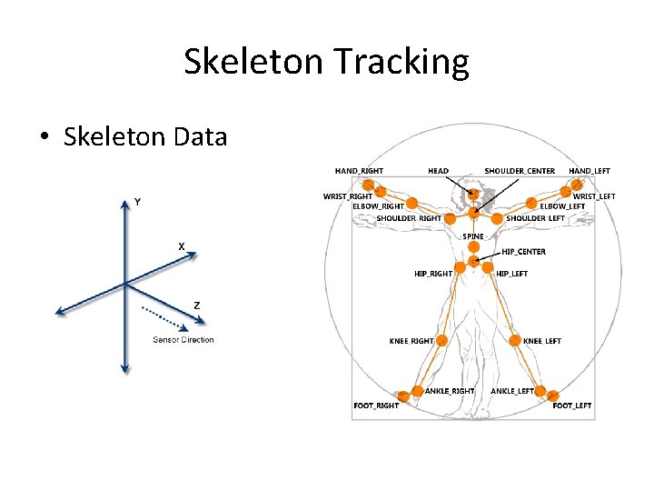 Skeleton Tracking • Skeleton Data 