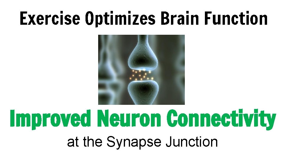 Exercise Optimizes Brain Function Improved Neuron Connectivity at the Synapse Junction 