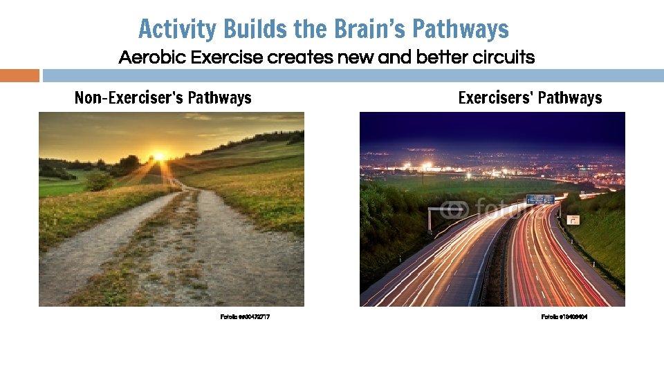 Activity Builds the Brain’s Pathways Aerobic Exercise creates new and better circuits Non-Exerciser’s Pathways