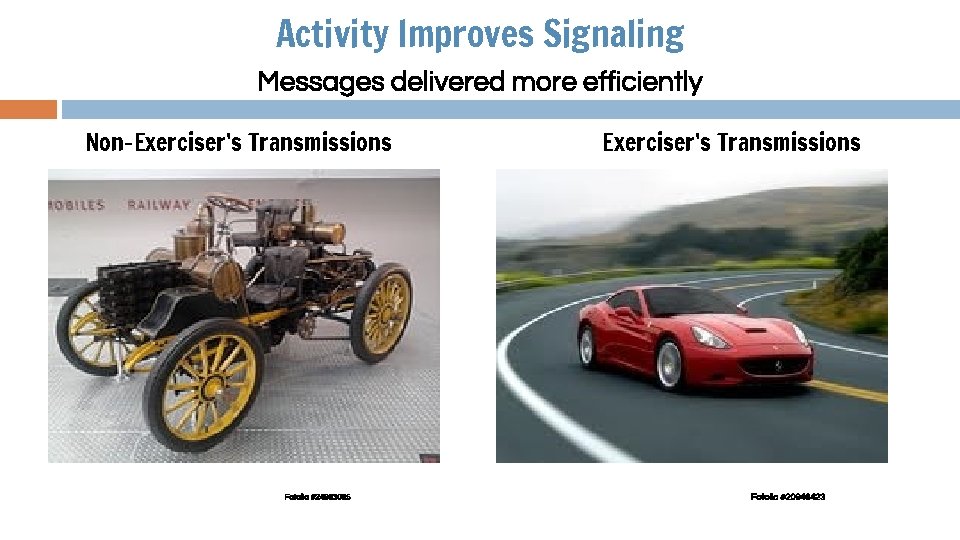 Activity Improves Signaling Messages delivered more efficiently Non-Exerciser’s Transmissions Fotolia #24863095 Exerciser’s Transmissions Fotolia