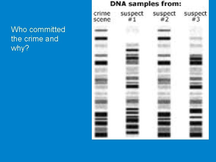 Who committed the crime and why? 