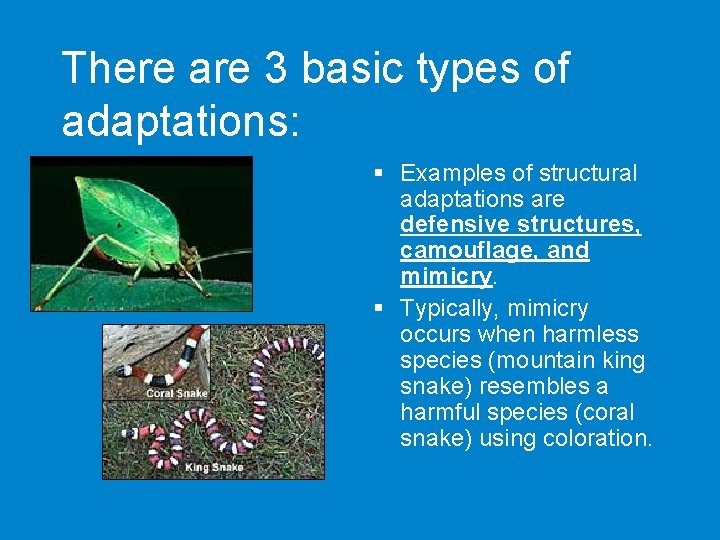 There are 3 basic types of adaptations: § Examples of structural adaptations are defensive