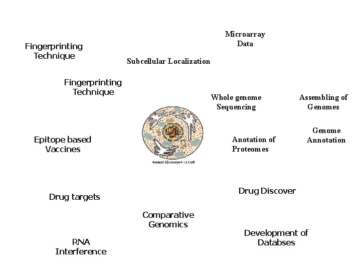 Fingerprinting Technique Microarray Data Subcellular Localization Fingerprinting Technique Whole genome Sequencing Epitope based Vaccines