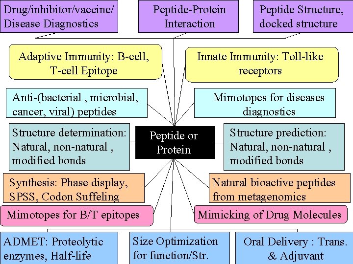 Drug/inhibitor/vaccine/ Disease Diagnostics Peptide-Protein Interaction Adaptive Immunity: B-cell, T-cell Epitope Innate Immunity: Toll-like receptors