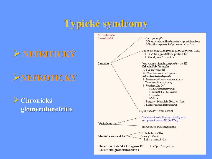 Typické syndromy Ø NEFRITICKÝ ØNEFROTICKÝ Ø Chronická glomerulonefritis 