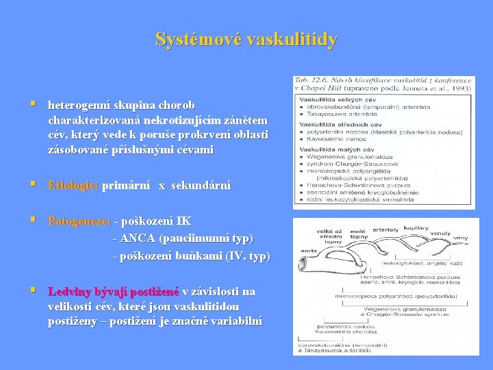 Systémové vaskulitidy § heterogenní skupina chorob charakterizovaná nekrotizujícím zánětem cév, který vede k poruše