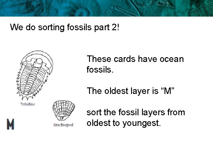 We do sorting fossils part 2! These cards have ocean fossils. The oldest layer