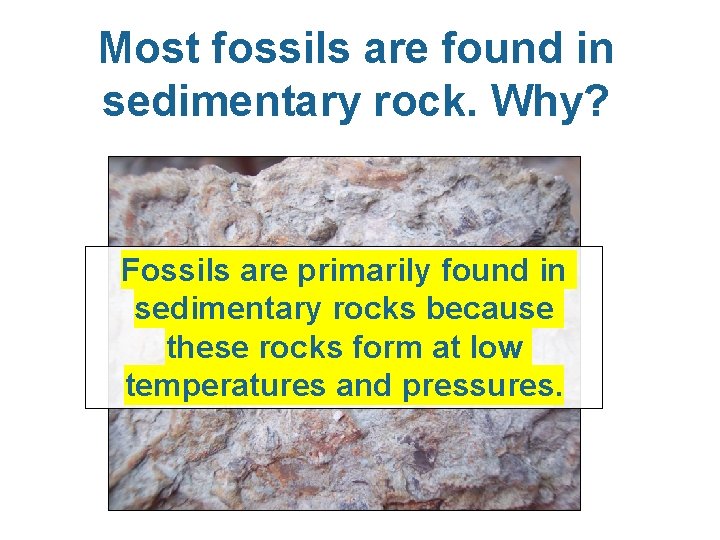 Most fossils are found in sedimentary rock. Why? Fossils are primarily found in sedimentary