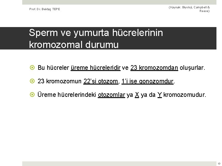 Prof. Dr. Bektaş TEPE (Kaynak: Biyoloji, Campbell & Reece) Sperm ve yumurta hücrelerinin kromozomal