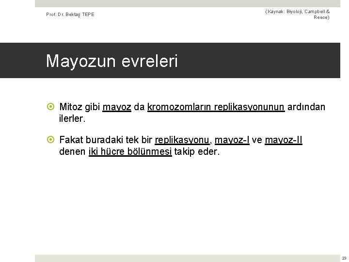 Prof. Dr. Bektaş TEPE (Kaynak: Biyoloji, Campbell & Reece) Mayozun evreleri Mitoz gibi mayoz