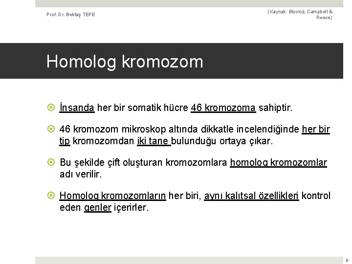 Prof. Dr. Bektaş TEPE (Kaynak: Biyoloji, Campbell & Reece) Homolog kromozom İnsanda her bir