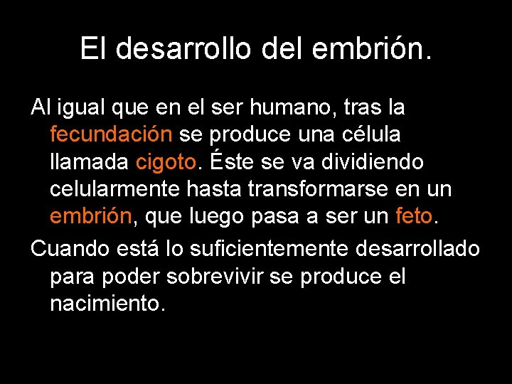 El desarrollo del embrión. Al igual que en el ser humano, tras la fecundación