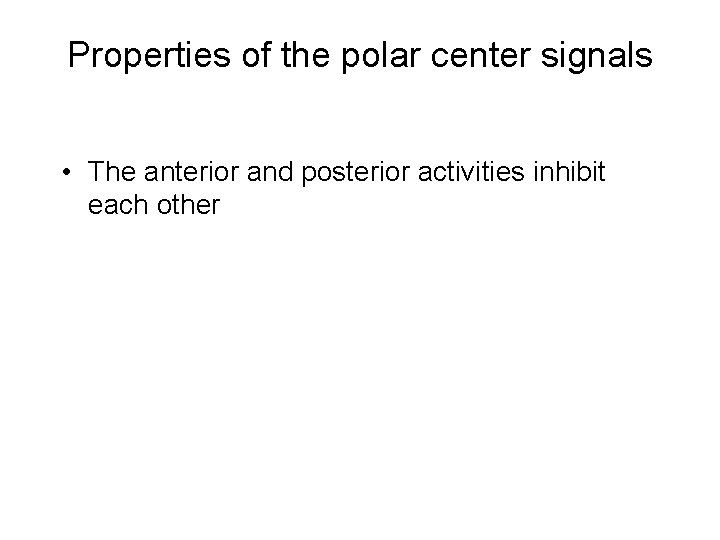 Properties of the polar center signals • The anterior and posterior activities inhibit each