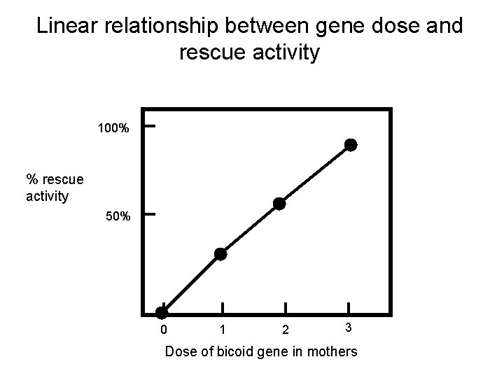 Linear relationship between gene dose and rescue activity 100% % rescue activity 50% 0