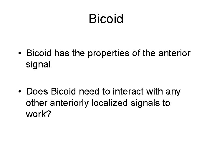 Bicoid • Bicoid has the properties of the anterior signal • Does Bicoid need