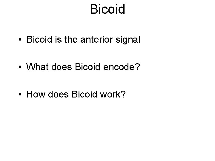 Bicoid • Bicoid is the anterior signal • What does Bicoid encode? • How