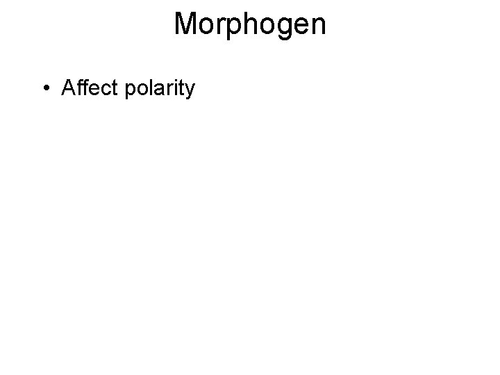 Morphogen • Affect polarity 