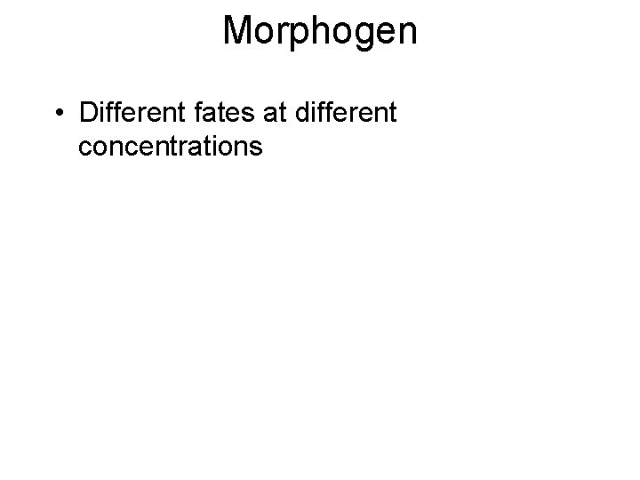 Morphogen • Different fates at different concentrations 