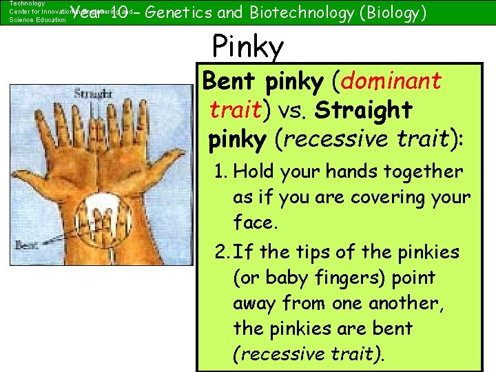 Technology Center for Innovation in Engineering and Science Education Year 10 – Genetics and