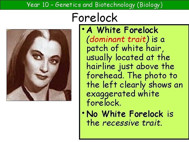 Year 10 – Genetics and Biotechnology (Biology) Forelock • A White Forelock (dominant trait)