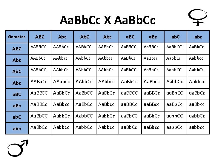 Aa. Bb. Cc X Aa. Bb. Cc Gametes ABC Abc Ab. C Abc a.