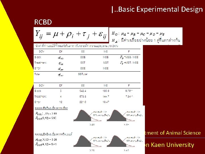 |. . Basic Experimental Design RCBD Department of Animal Science Khon Kaen University 