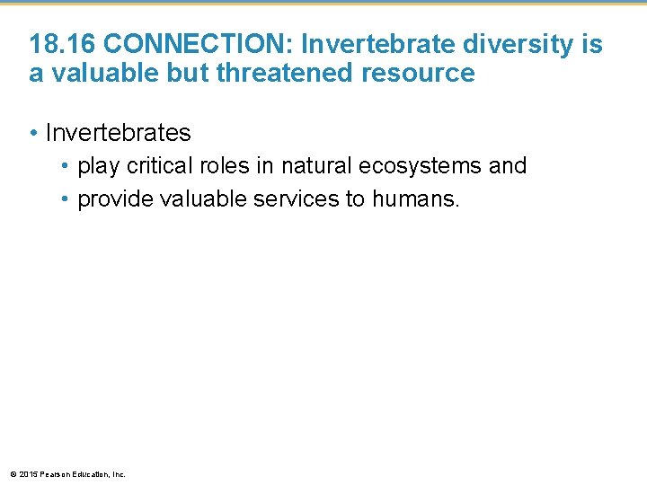 18. 16 CONNECTION: Invertebrate diversity is a valuable but threatened resource • Invertebrates •