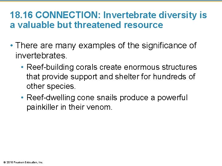 18. 16 CONNECTION: Invertebrate diversity is a valuable but threatened resource • There are