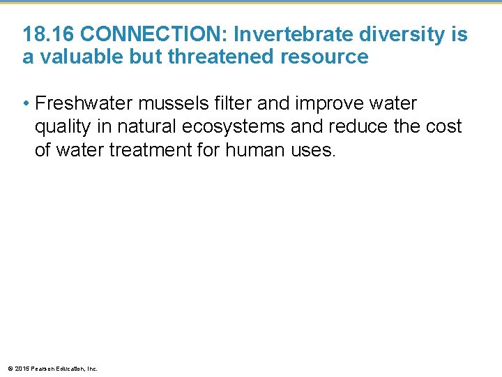 18. 16 CONNECTION: Invertebrate diversity is a valuable but threatened resource • Freshwater mussels