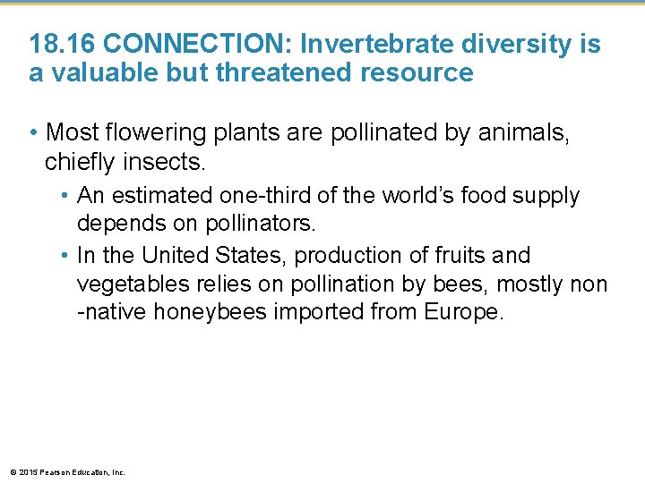 18. 16 CONNECTION: Invertebrate diversity is a valuable but threatened resource • Most flowering