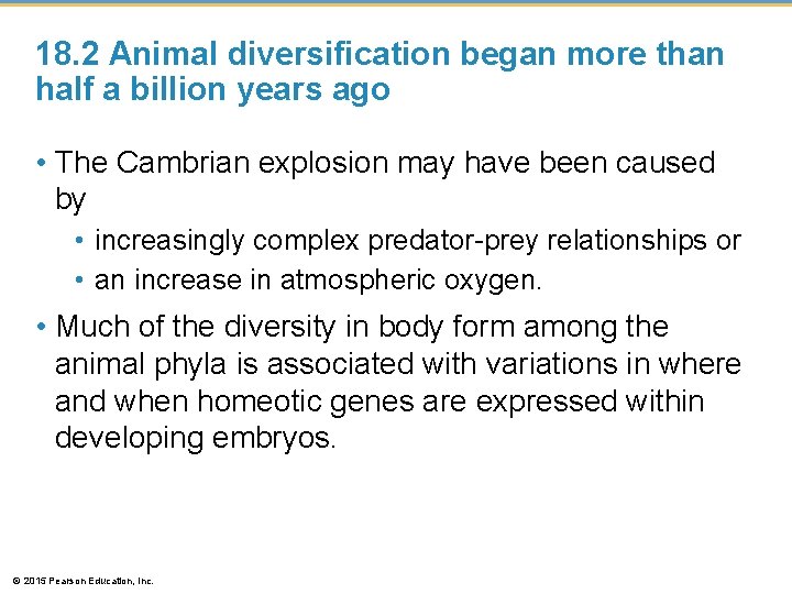 18. 2 Animal diversification began more than half a billion years ago • The