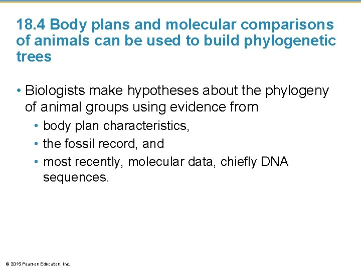 18. 4 Body plans and molecular comparisons of animals can be used to build