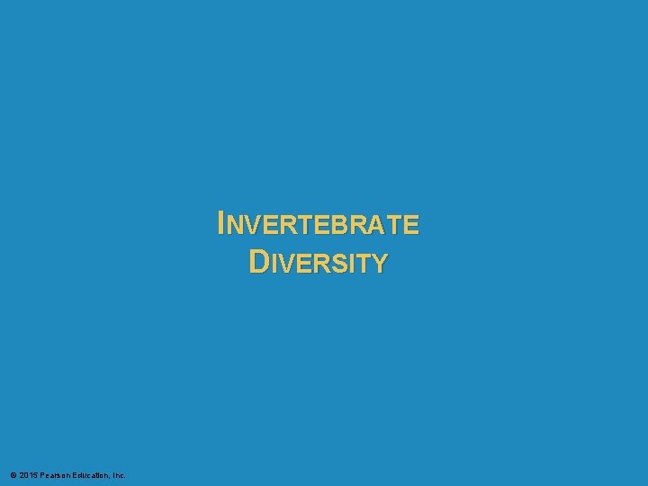 INVERTEBRATE DIVERSITY © 2015 Pearson Education, Inc. 