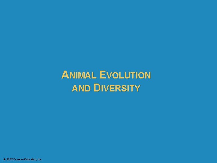 ANIMAL EVOLUTION AND DIVERSITY © 2015 Pearson Education, Inc. 