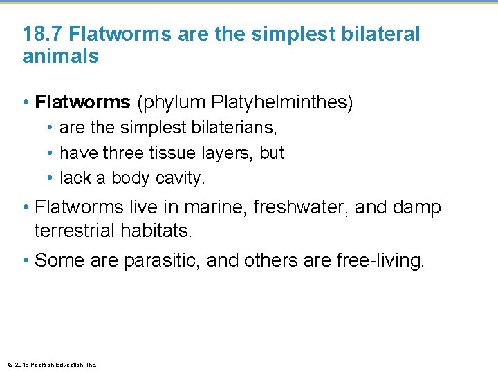 18. 7 Flatworms are the simplest bilateral animals • Flatworms (phylum Platyhelminthes) • are
