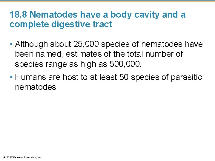 18. 8 Nematodes have a body cavity and a complete digestive tract • Although