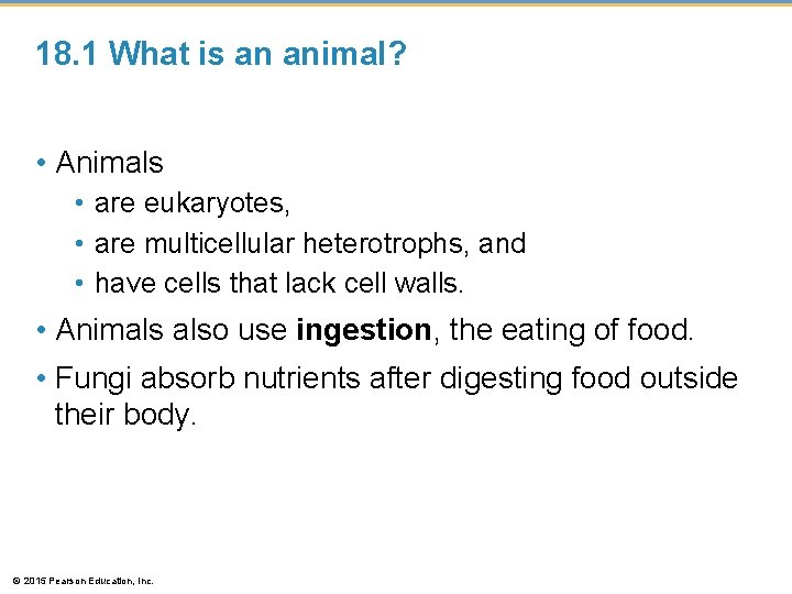 18. 1 What is an animal? • Animals • are eukaryotes, • are multicellular