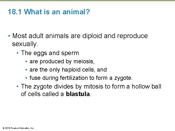 18. 1 What is an animal? • Most adult animals are diploid and reproduce