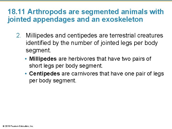 18. 11 Arthropods are segmented animals with jointed appendages and an exoskeleton 2. Millipedes
