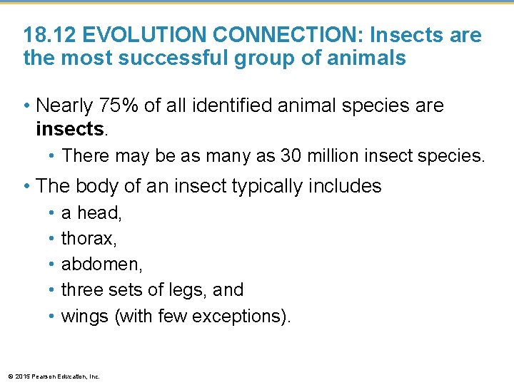 18. 12 EVOLUTION CONNECTION: Insects are the most successful group of animals • Nearly