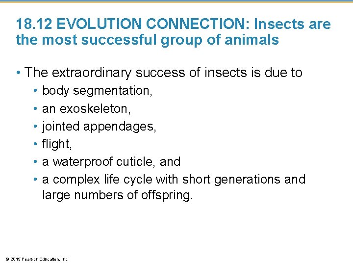 18. 12 EVOLUTION CONNECTION: Insects are the most successful group of animals • The