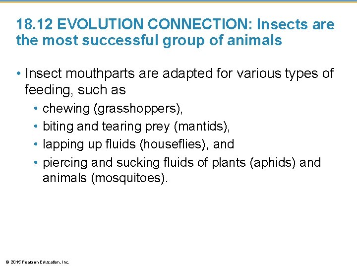 18. 12 EVOLUTION CONNECTION: Insects are the most successful group of animals • Insect