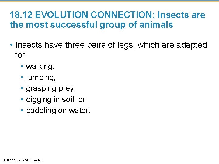 18. 12 EVOLUTION CONNECTION: Insects are the most successful group of animals • Insects