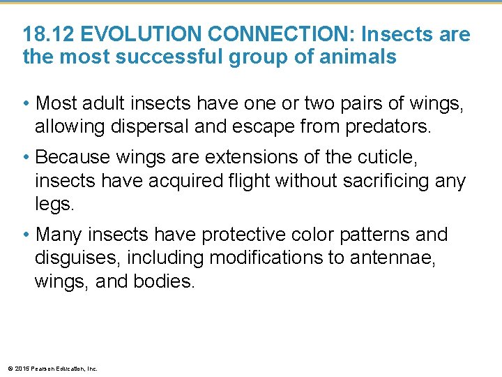18. 12 EVOLUTION CONNECTION: Insects are the most successful group of animals • Most
