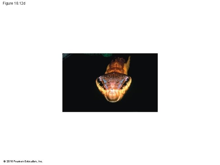 Figure 18. 12 d © 2015 Pearson Education, Inc. 