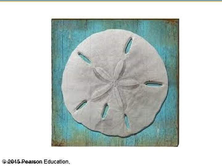 Pearson Education, Inc. Education, ©© 2015 Pearson 