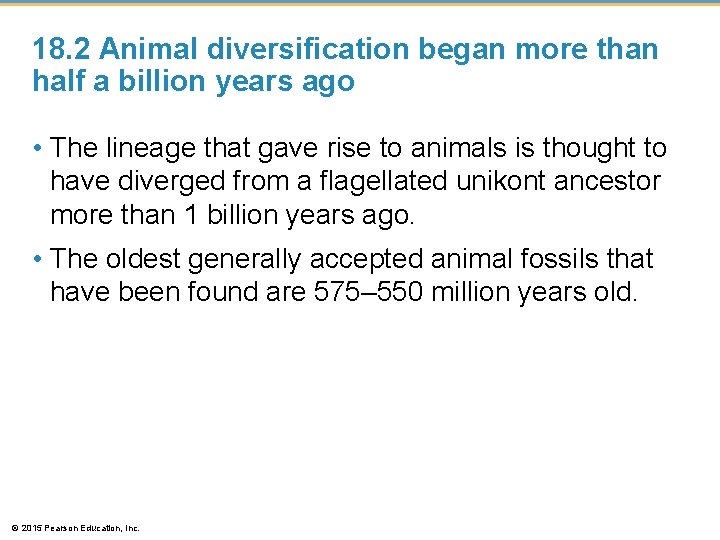 18. 2 Animal diversification began more than half a billion years ago • The