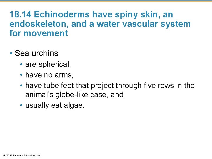 18. 14 Echinoderms have spiny skin, an endoskeleton, and a water vascular system for